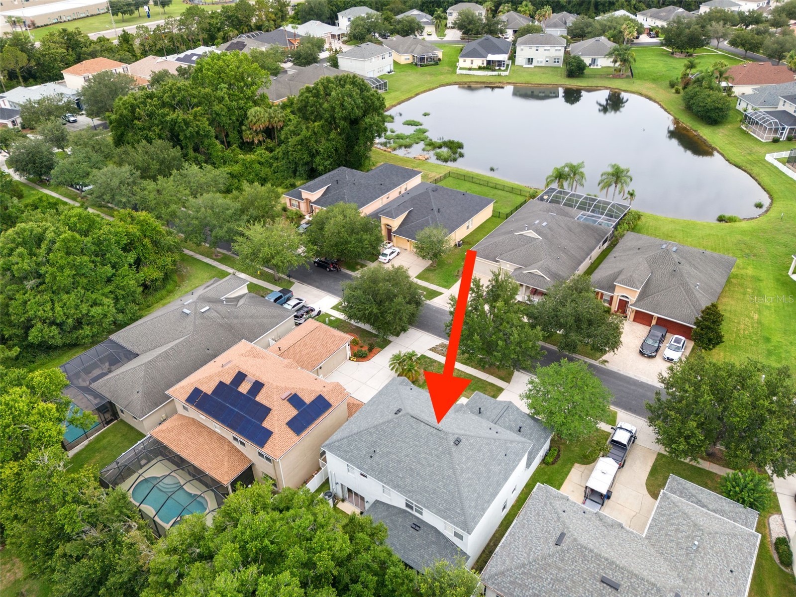 20008 Bluff Oak Boulevard Tampa FL 33647 TB8515791 image58