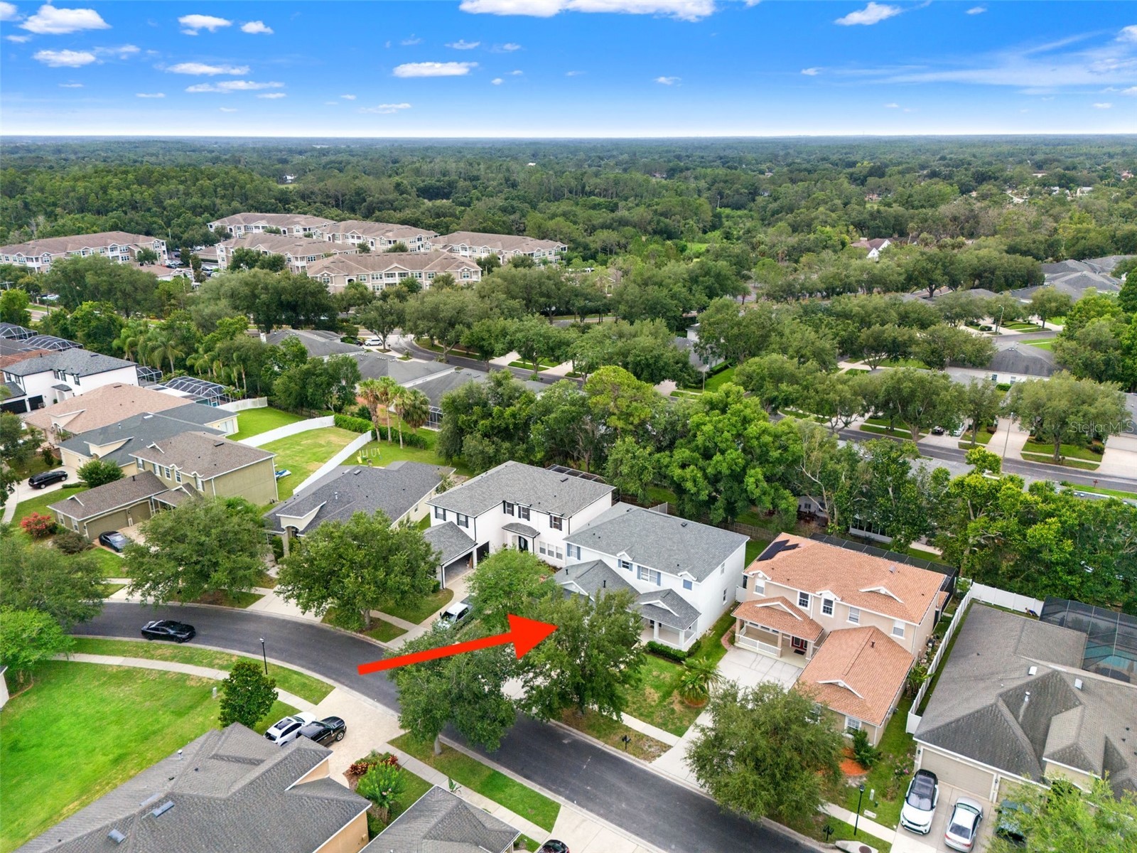 20008 Bluff Oak Boulevard Tampa FL 33647 TB8515791 image59