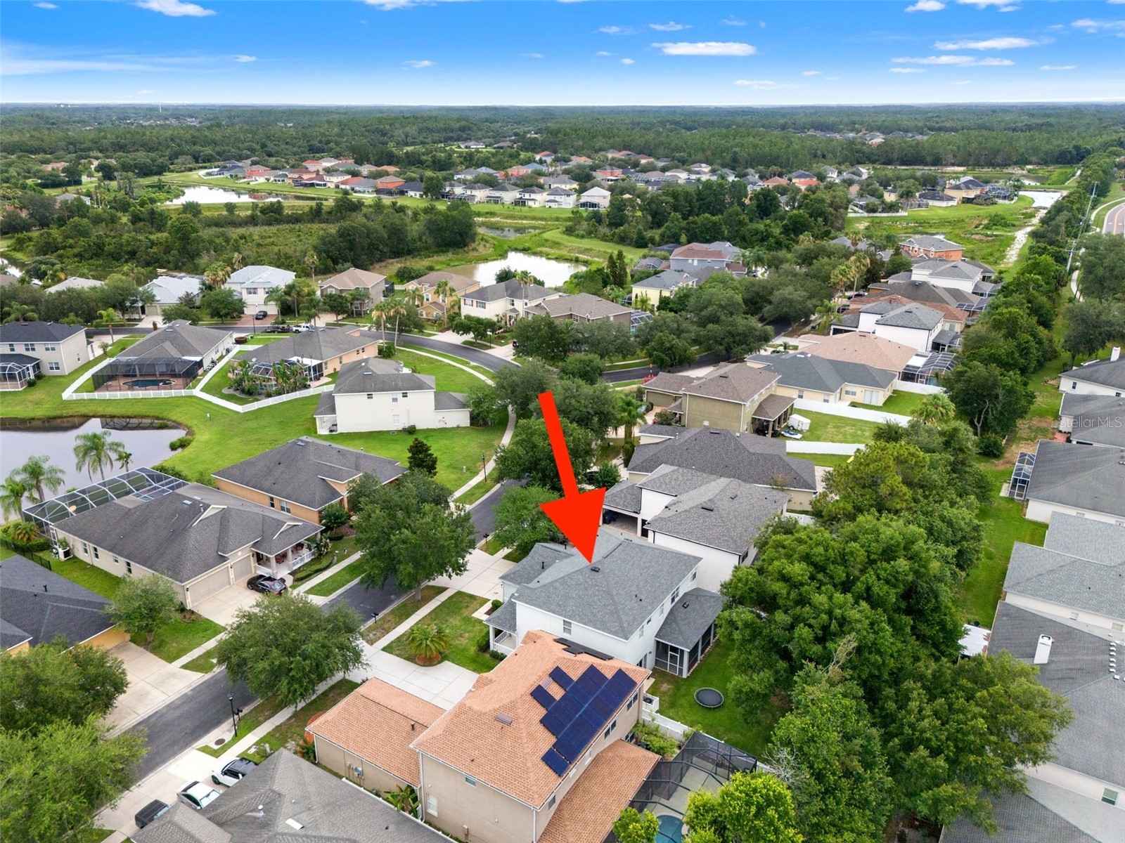 20008 Bluff Oak Boulevard Tampa FL 33647 TB8515791 image60