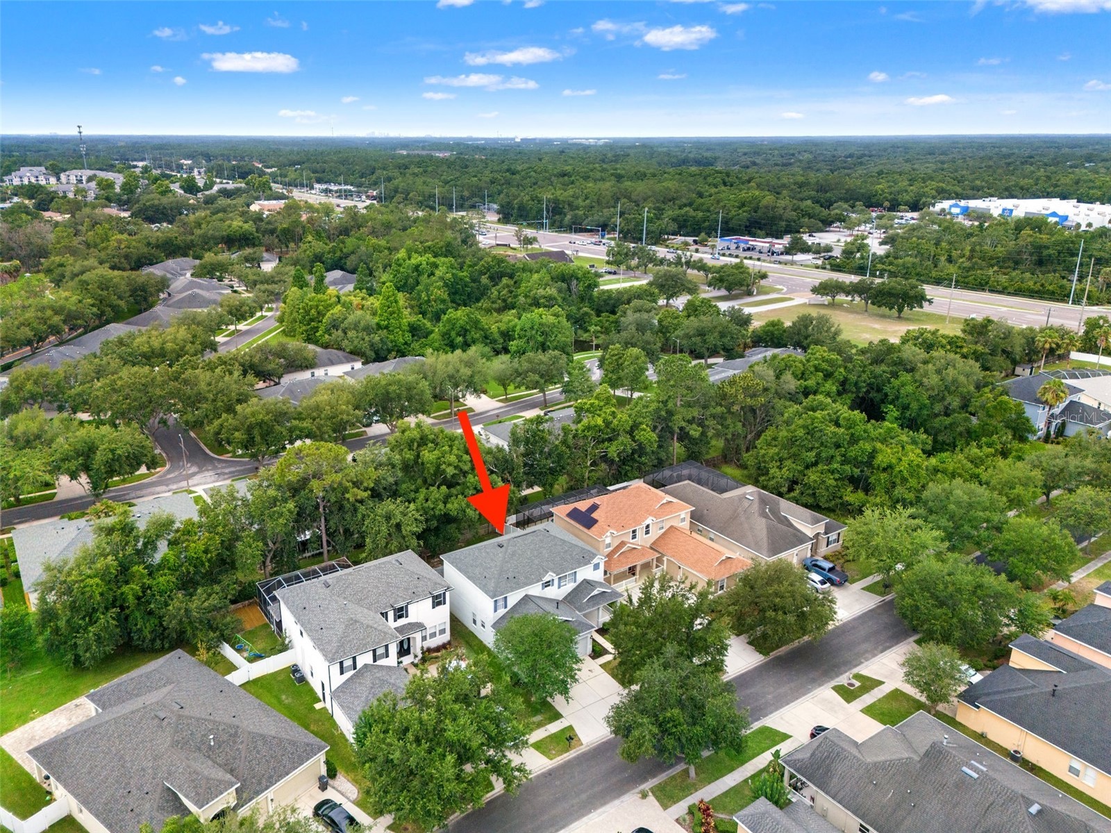 20008 Bluff Oak Boulevard Tampa FL 33647 TB8515791 image62
