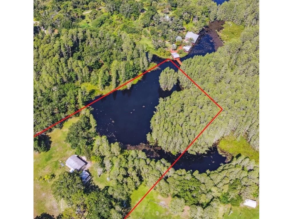 20008 Millet Lane Land O Lakes FL 34638 T3381375 image1