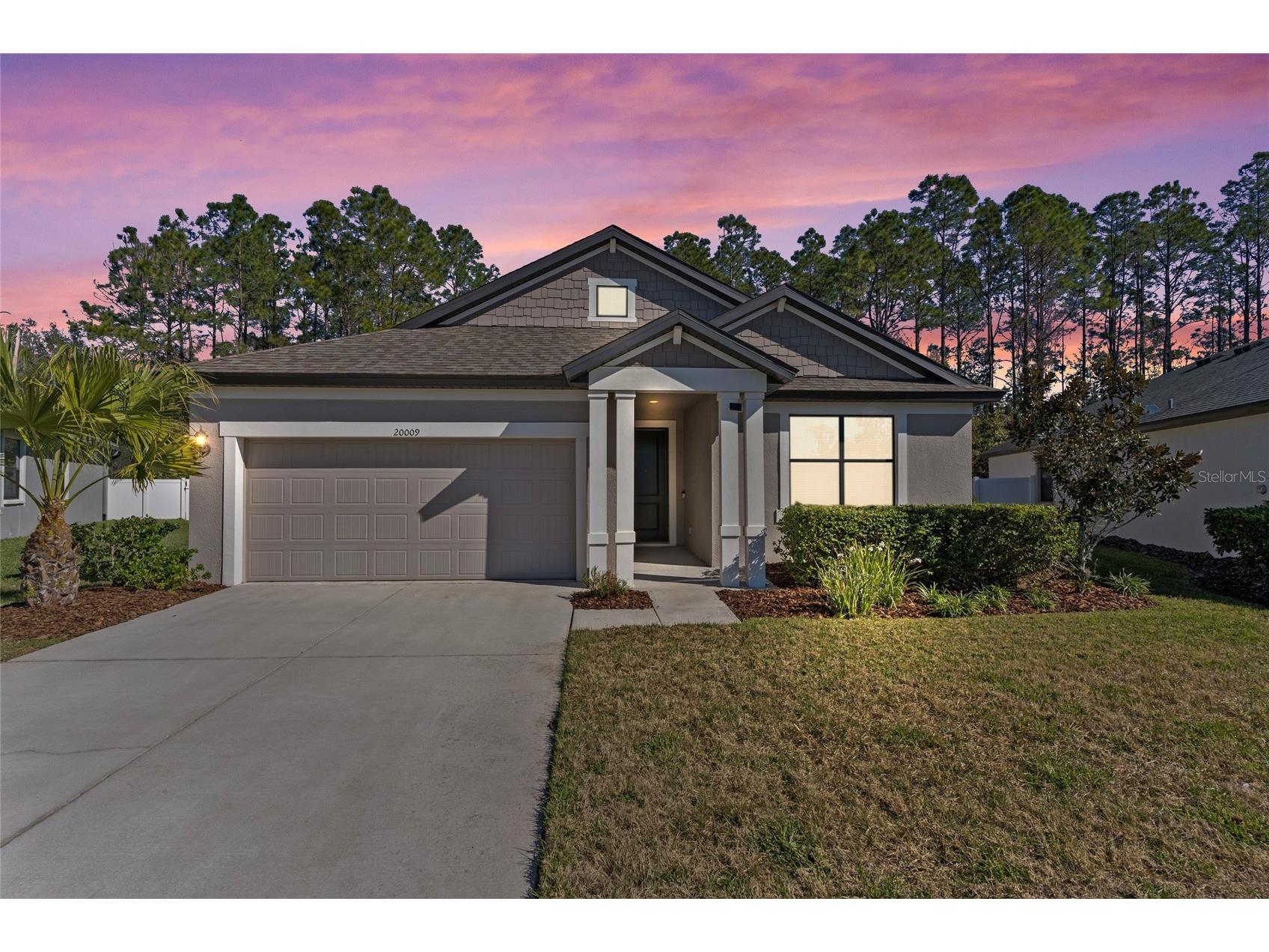 20009 Hidden Glen Drive Land O Lakes FL 34638 TB8460517 image1