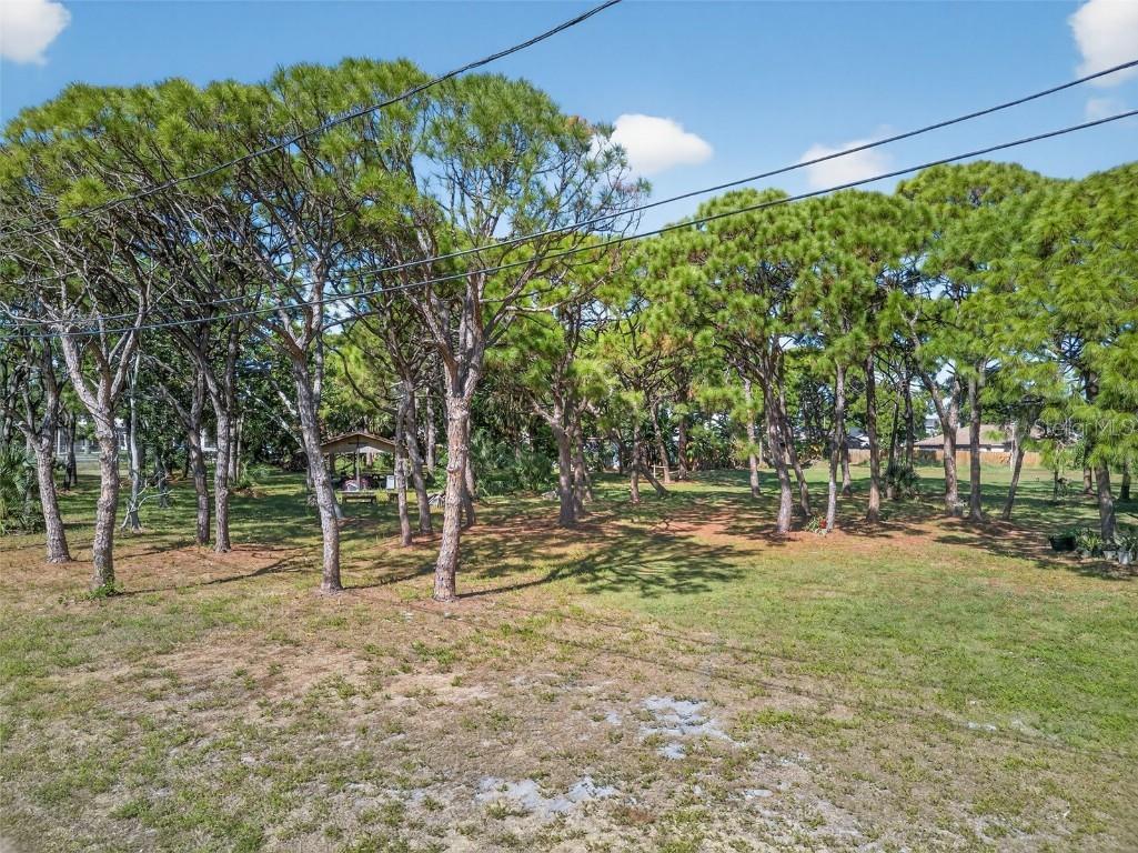 2001 62nd Avenue S Saint Petersburg FL 33712 TB8447764 image4