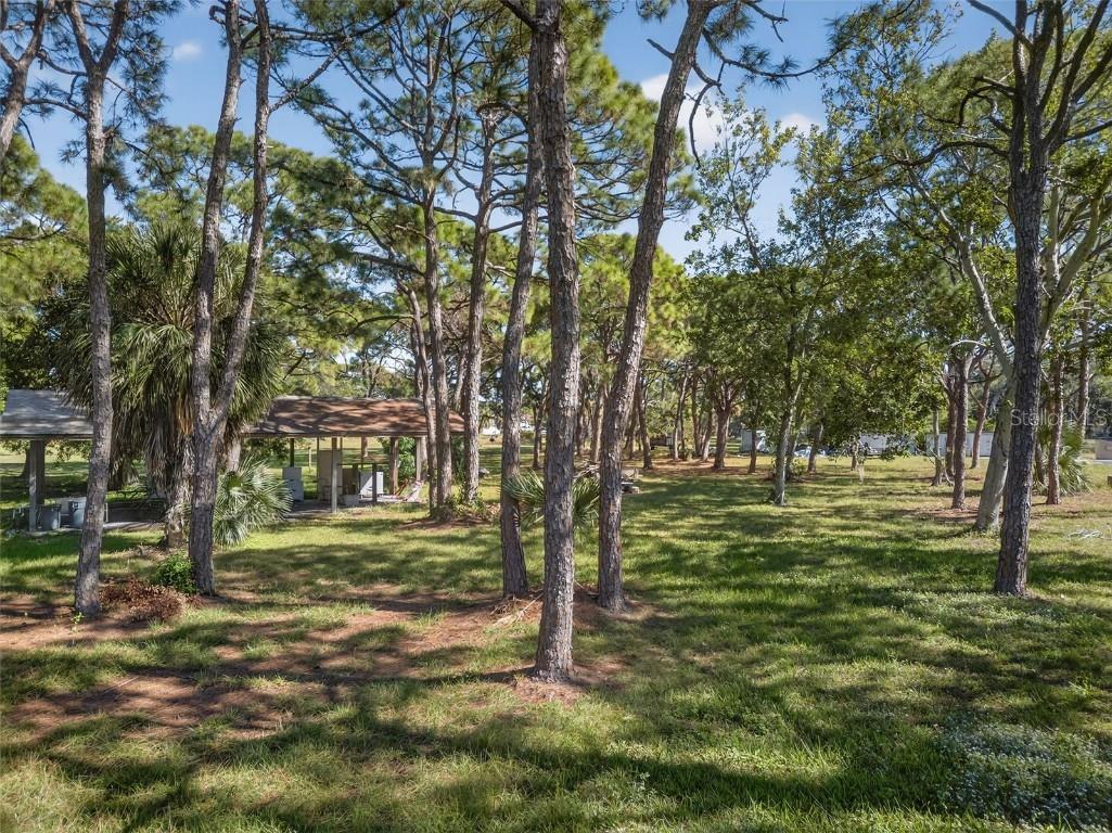 2001 62nd Avenue S Saint Petersburg FL 33712 TB8447764 image5