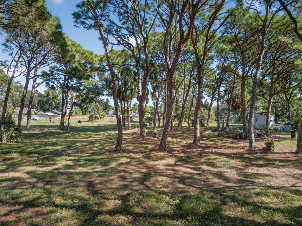 2001 62nd Avenue S Saint Petersburg FL 33712 TB8447764 image6