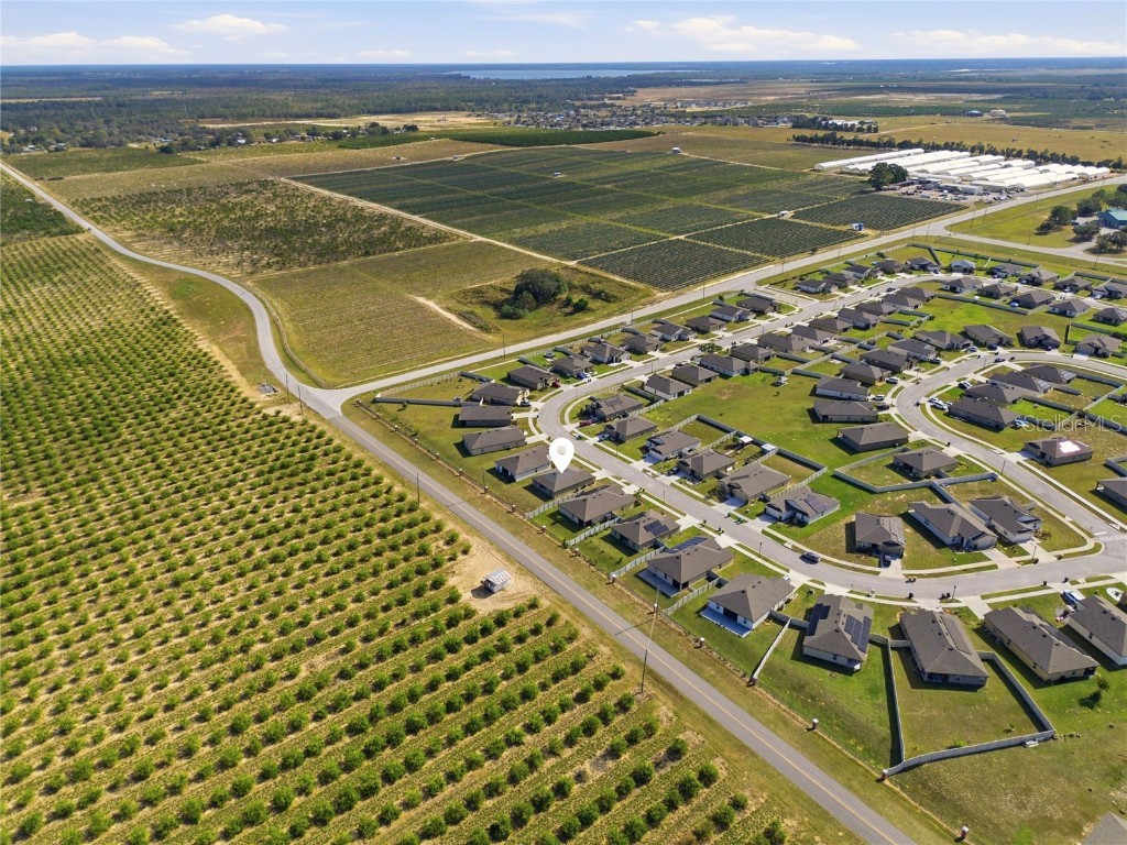 2001 Amber Sweet Circle Dundee FL 33838 L4957528 image33