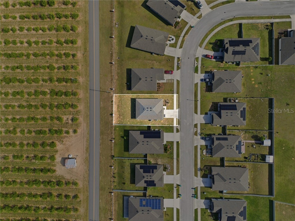 2001 Amber Sweet Circle Dundee FL 33838 L4957528 image35