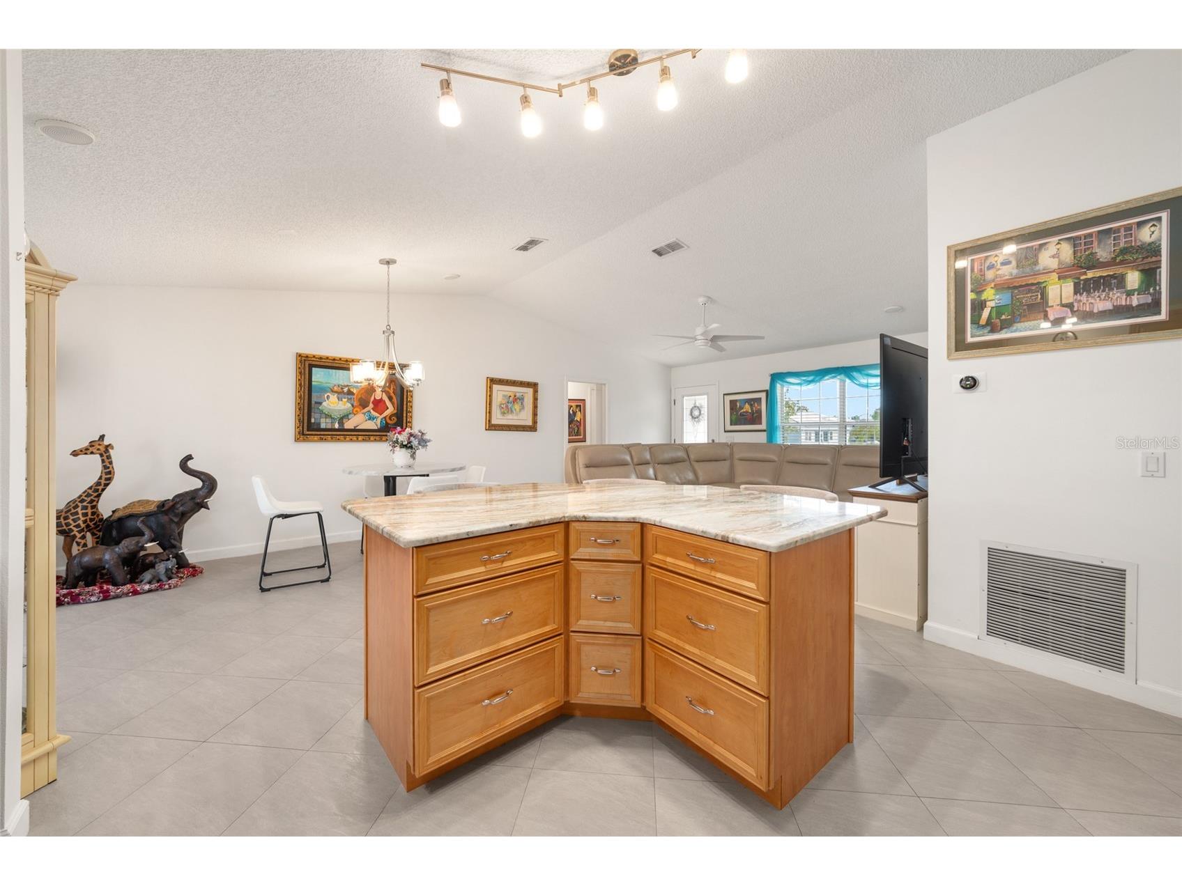 2001 Cipriano Place The Villages FL 32159 G5107394 image14