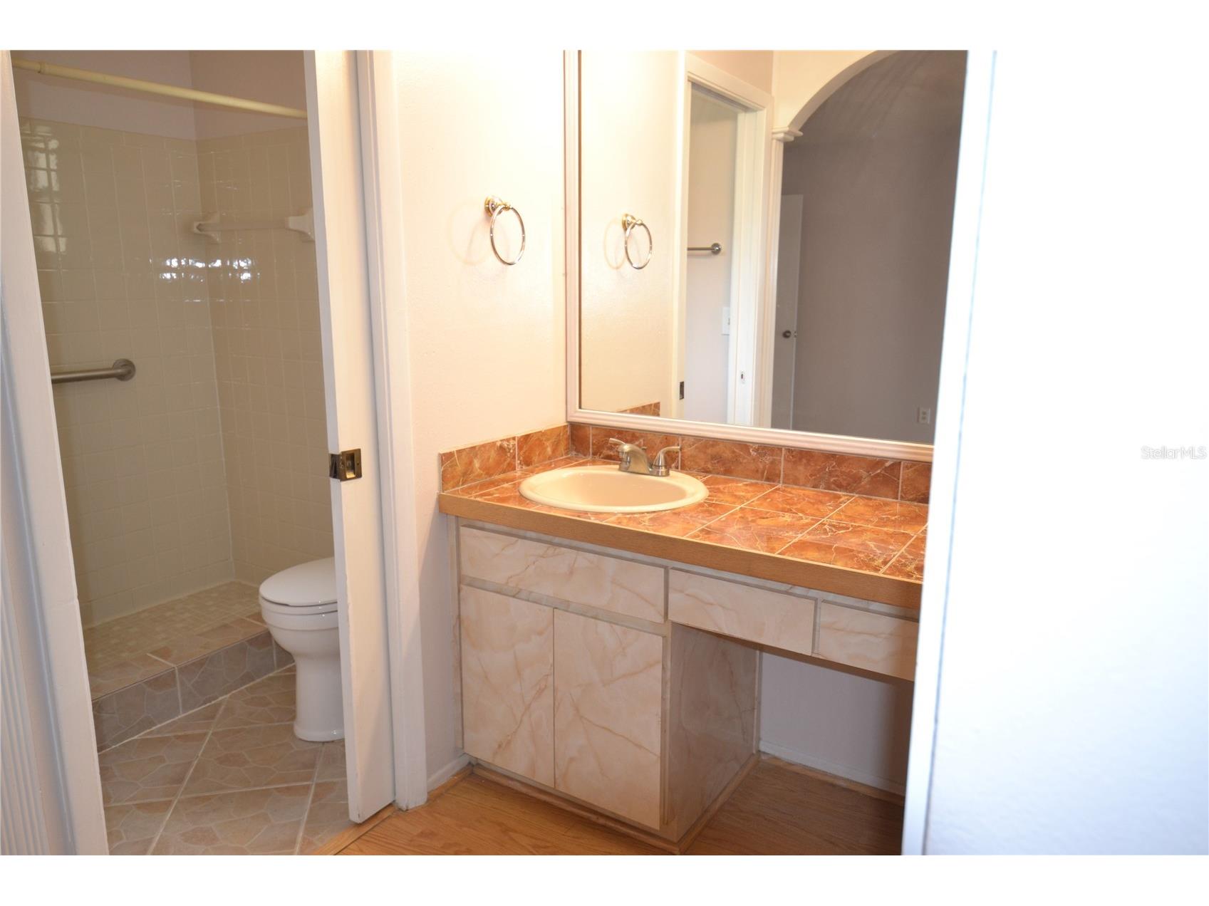 2001 Dover Court Oldsmar FL 34677 TB8526064 image25