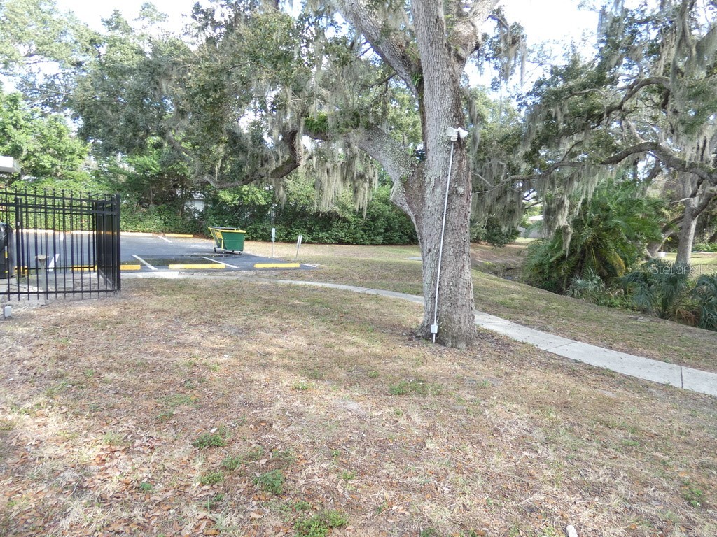 2001 Greenbriar Boulevard #13 Clearwater FL 33763 W7881767 image24