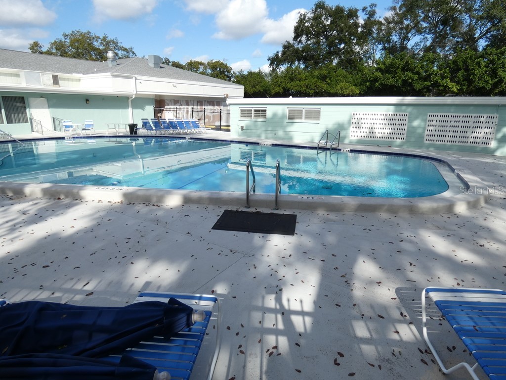 2001 Greenbriar Boulevard #13 Clearwater FL 33763 W7881767 image25