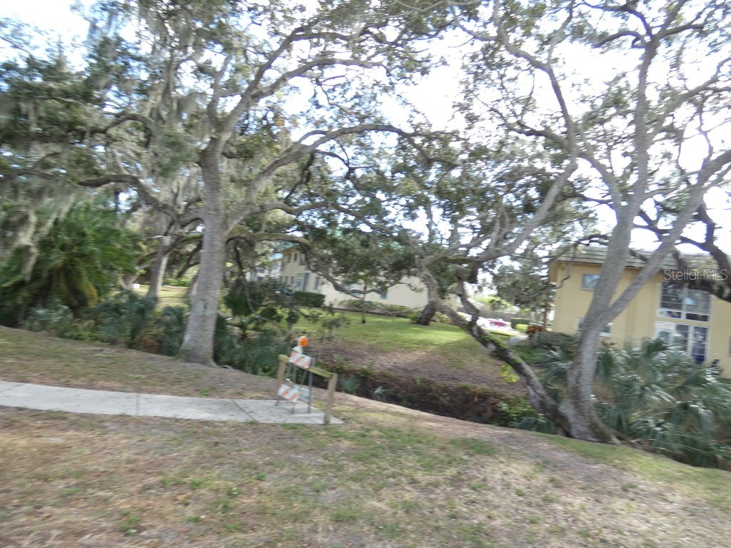 2001 Greenbriar Boulevard #13 Clearwater FL 33763 W7881767 image26