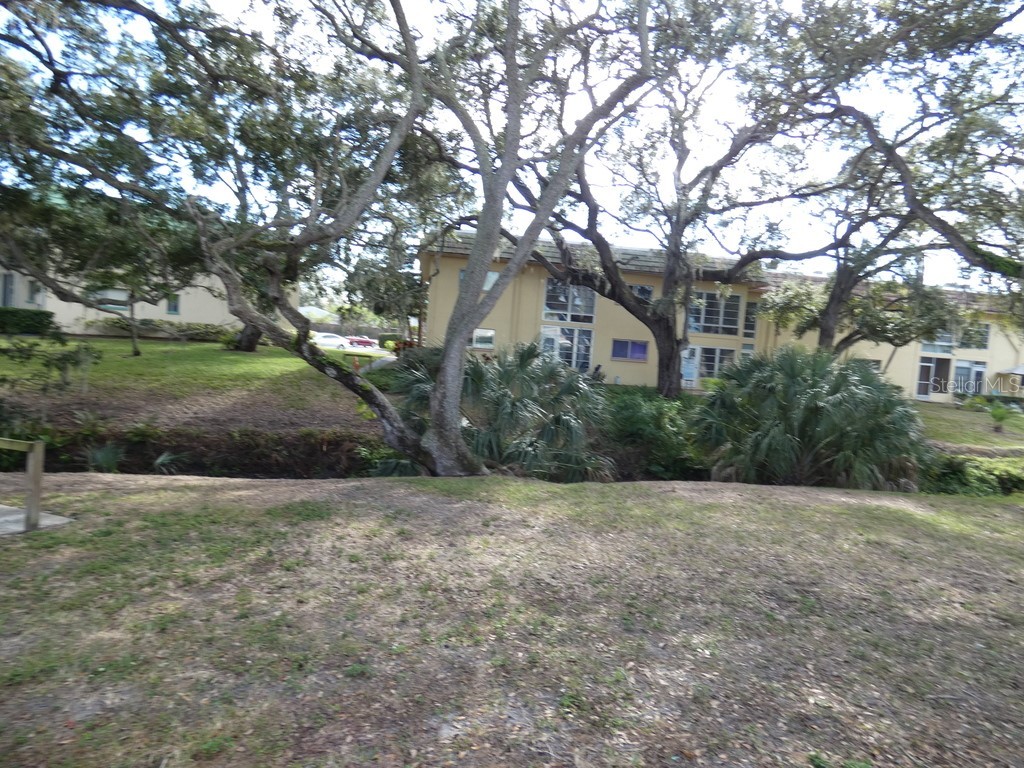 2001 Greenbriar Boulevard #13 Clearwater FL 33763 W7881767 image27