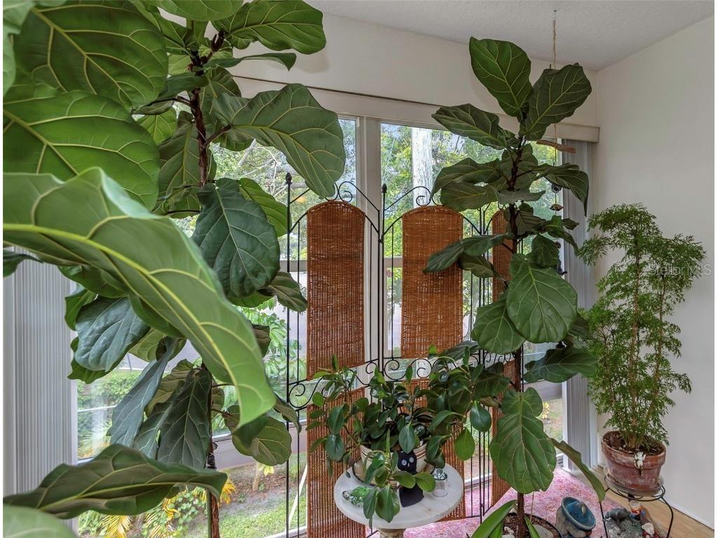 2001 Greenbriar Boulevard #17 Clearwater FL 33763 TB8409021 image27