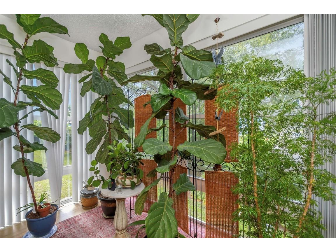 2001 Greenbriar Boulevard #17 Clearwater FL 33763 TB8409021 image28