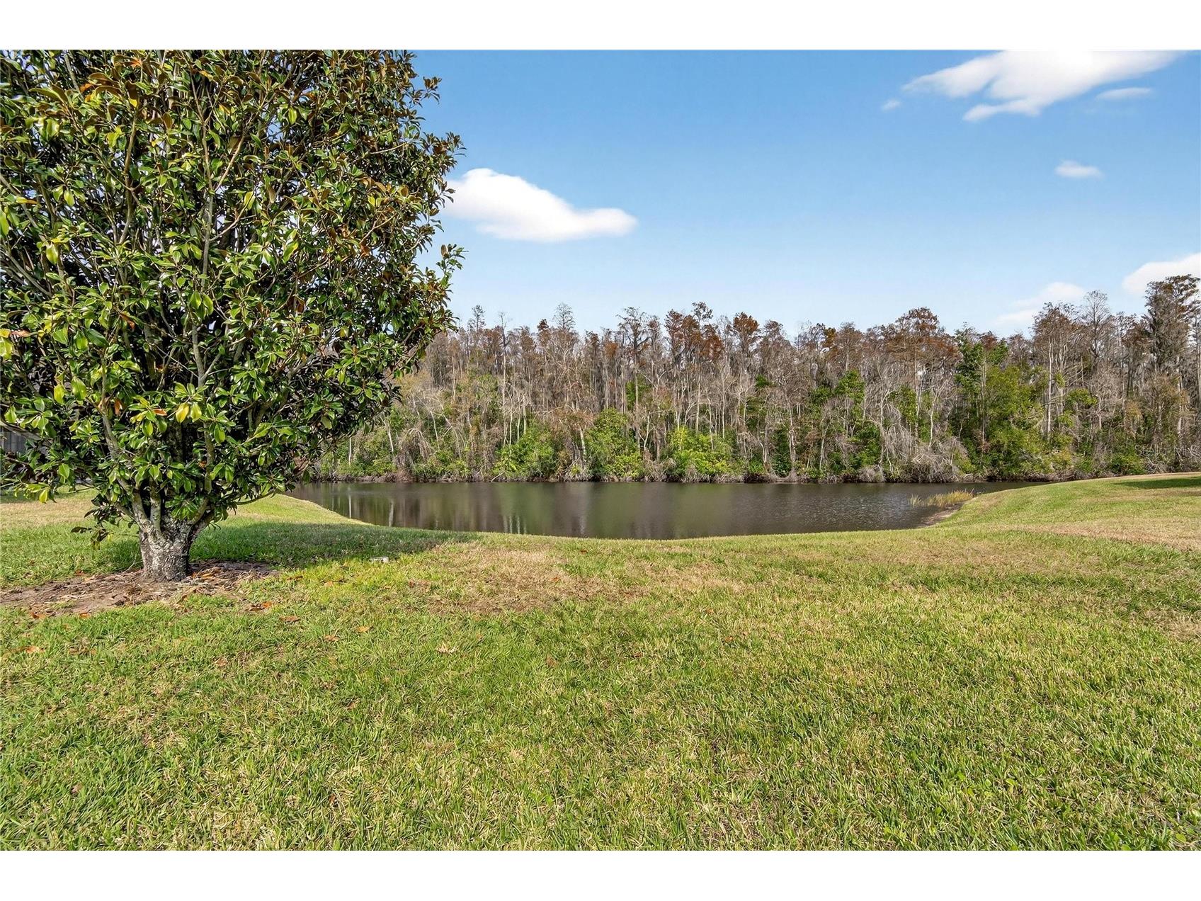 2001 Hartlebury Way #432 Sun City Center FL 33573 TB8464545 image42