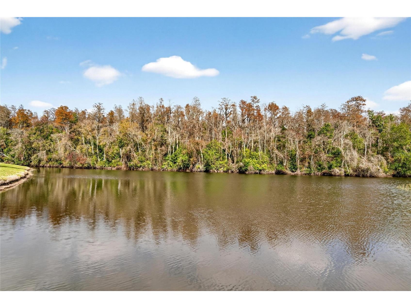 2001 Hartlebury Way #432 Sun City Center FL 33573 TB8464545 image43