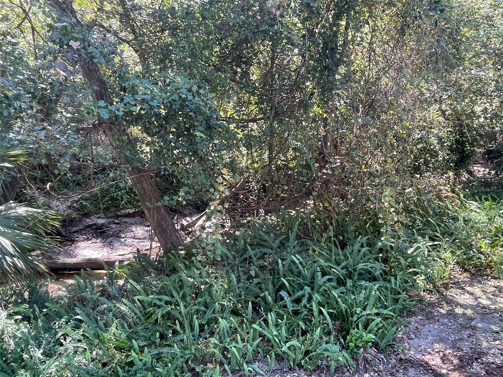 2001 NW 15th Avenue Gainesville FL 32605 GC539504 image34