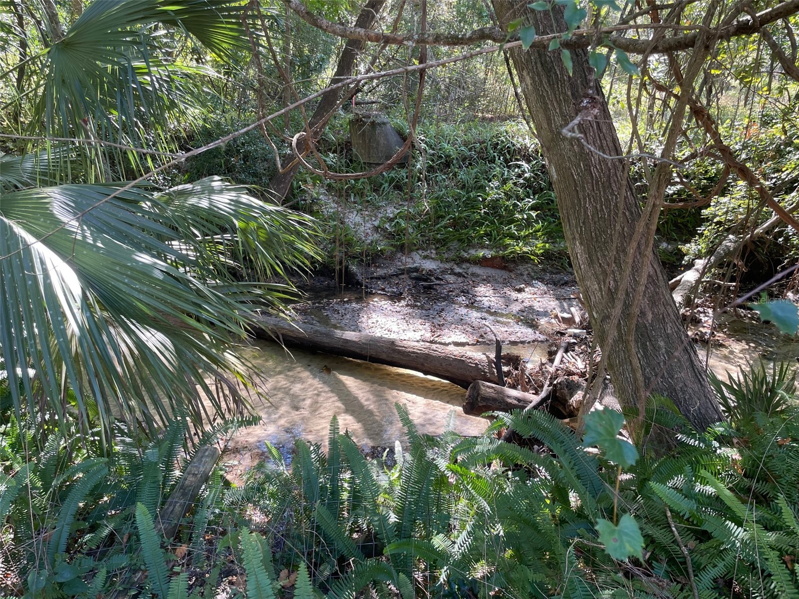 2001 NW 15th Avenue Gainesville FL 32605 GC539504 image35