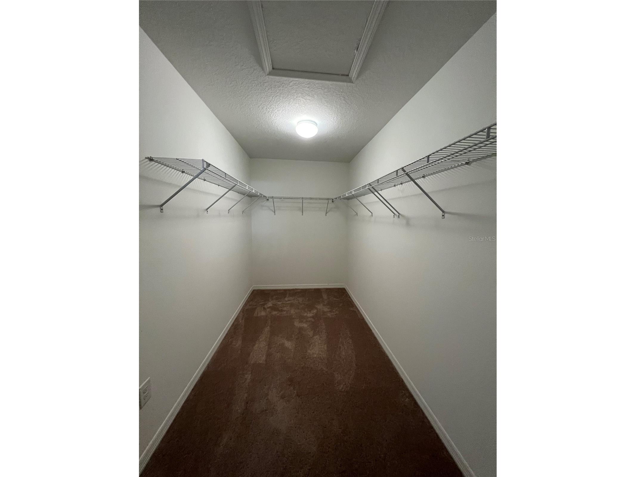 20010 Date Palm Way Tampa FL 33647 TB8499881 image15