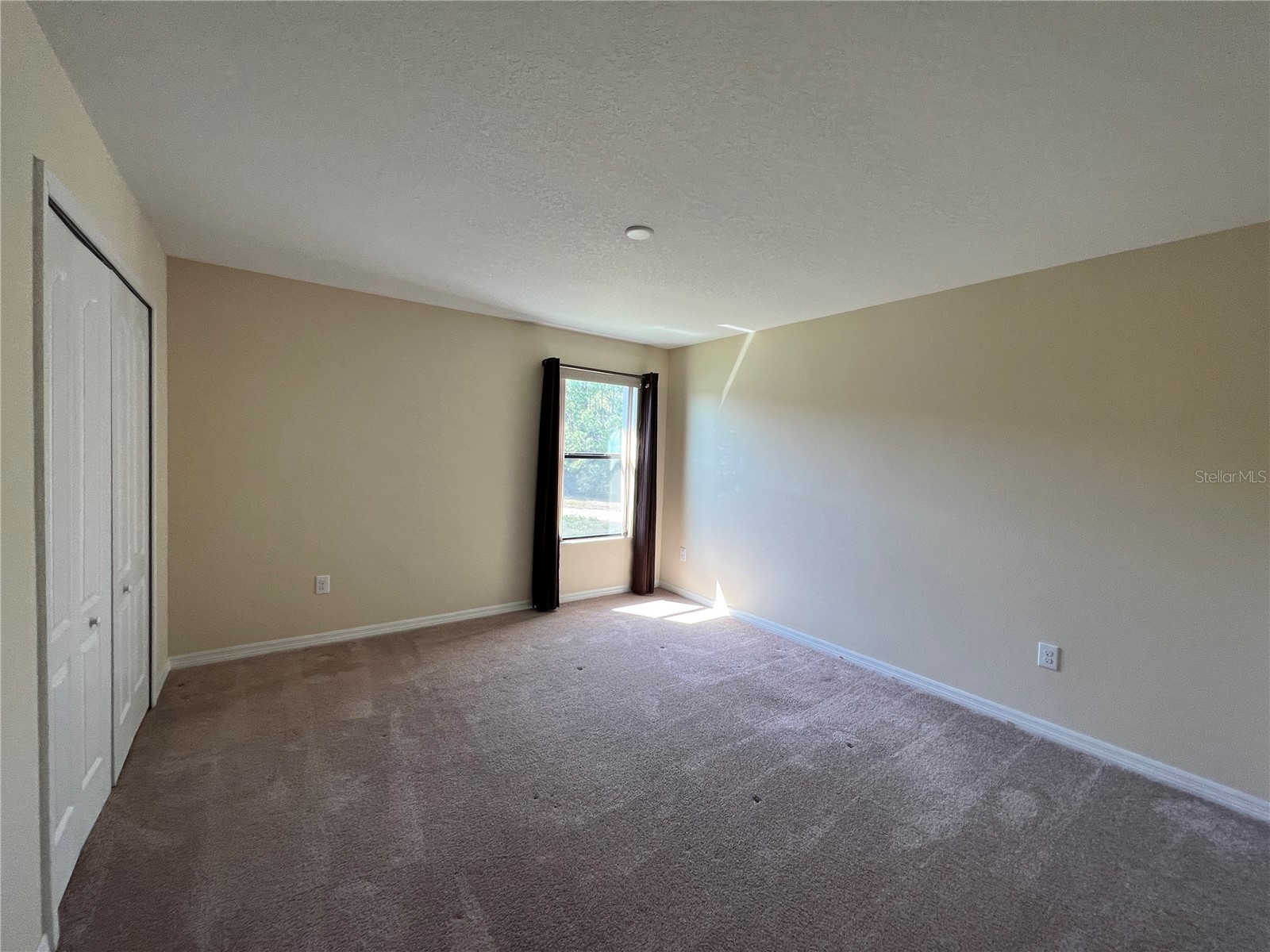 20010 Date Palm Way Tampa FL 33647 TB8499881 image19