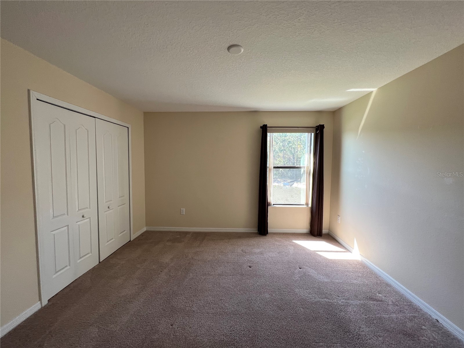 20010 Date Palm Way Tampa FL 33647 TB8499881 image20