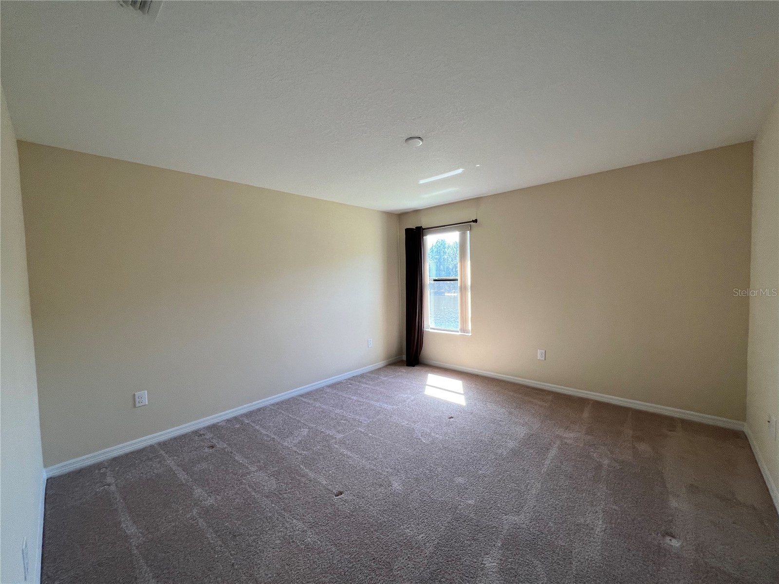 20010 Date Palm Way Tampa FL 33647 TB8499881 image24