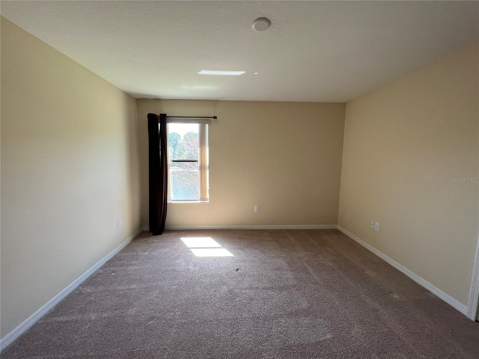 20010 Date Palm Way Tampa FL 33647 TB8499881 image25