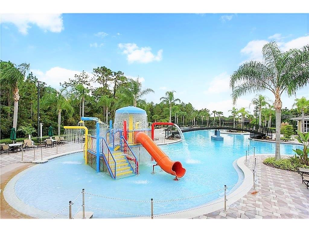 20010 Date Palm Way Tampa FL 33647 TB8499881 image30
