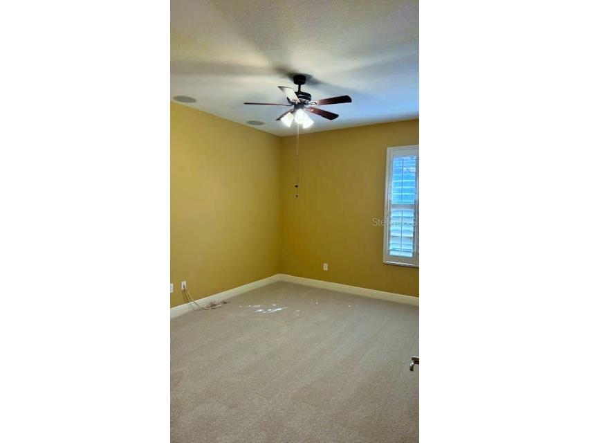 20010 Ryman Place Tampa FL 33647 TB8437891 image17