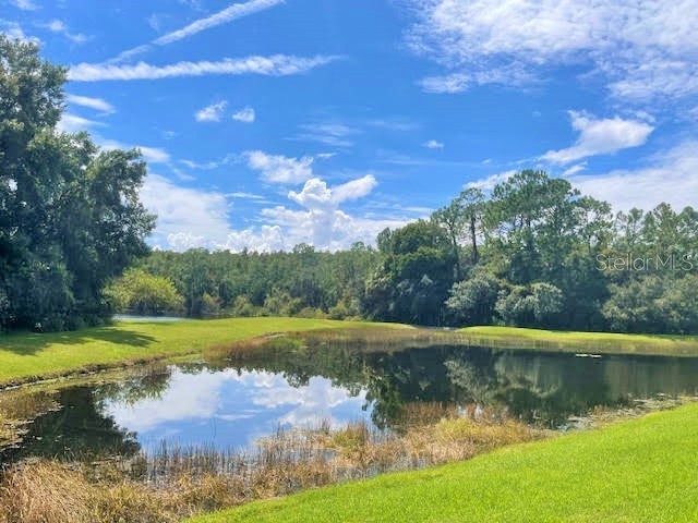 20010 Ryman Place Tampa FL 33647 TB8437891 image32