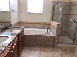 20012 Oakflower Avenue Tampa FL 33647 TB8494251 image12