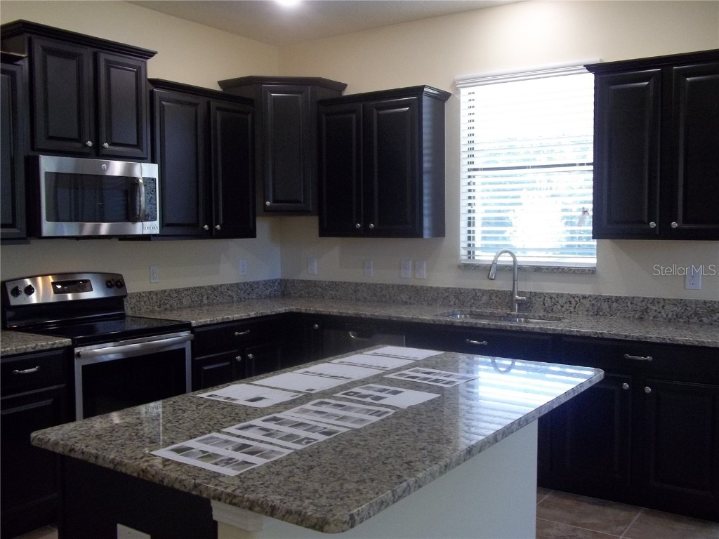 20014 Date Palm Way Tampa FL 33647 TB8442587 image9