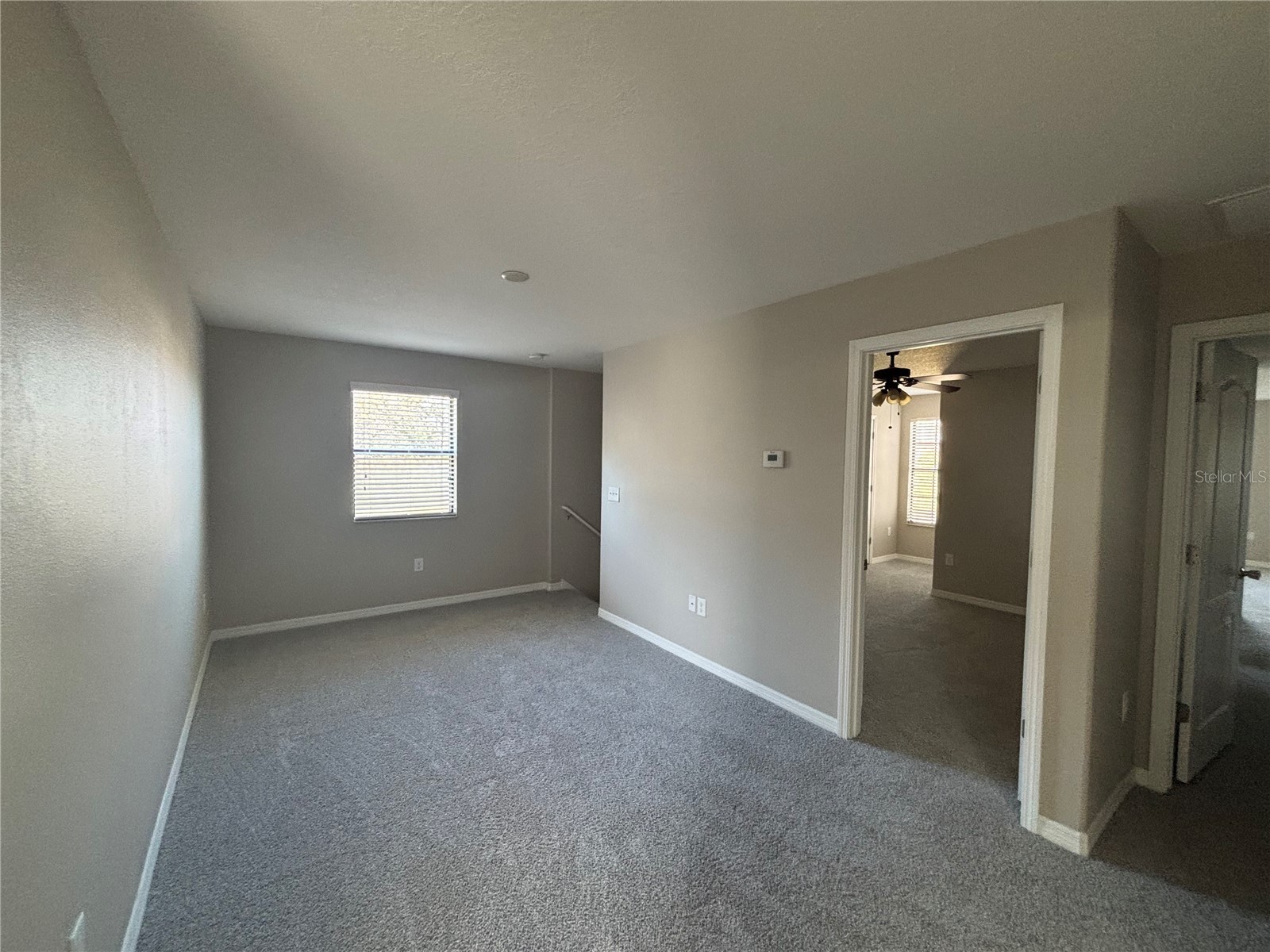 20014 Date Palm Way Tampa FL 33647 TB8488868 image13