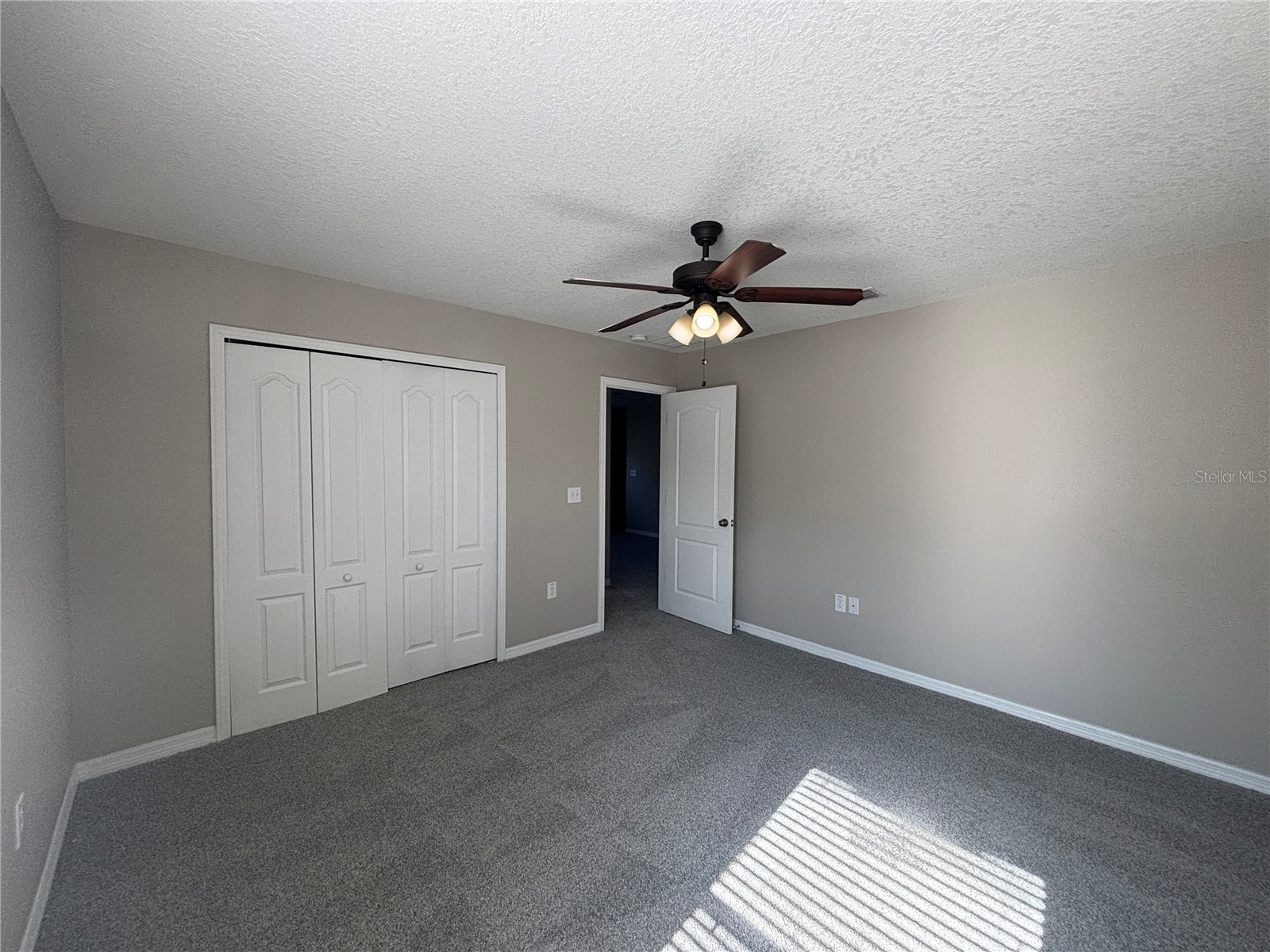 20014 Date Palm Way Tampa FL 33647 TB8488868 image19