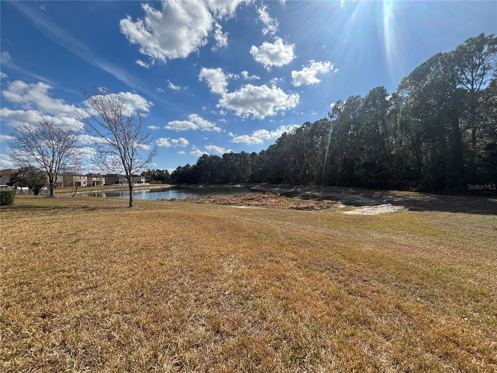 20014 Date Palm Way Tampa FL 33647 TB8488868 image2