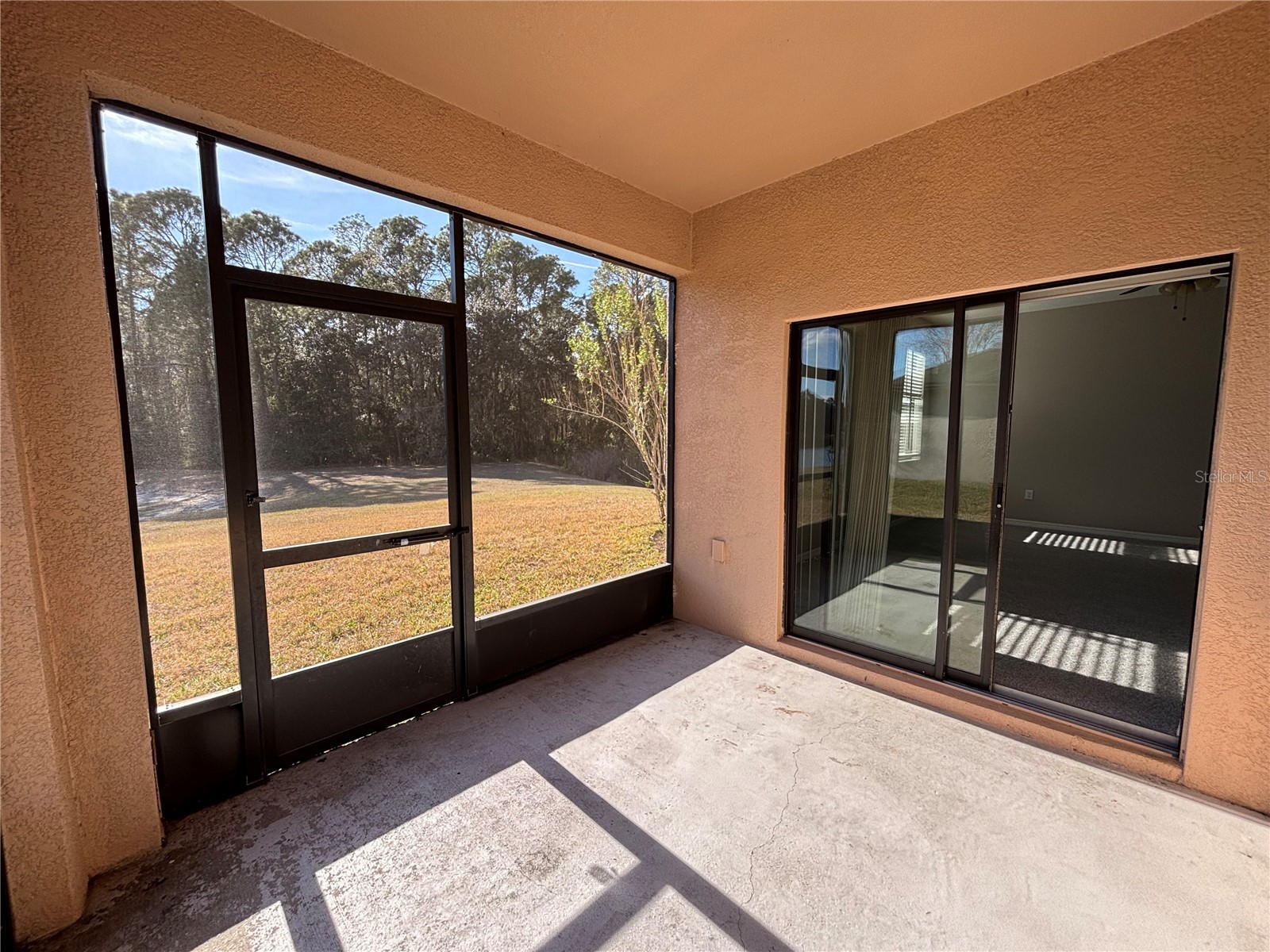 20014 Date Palm Way Tampa FL 33647 TB8488868 image29