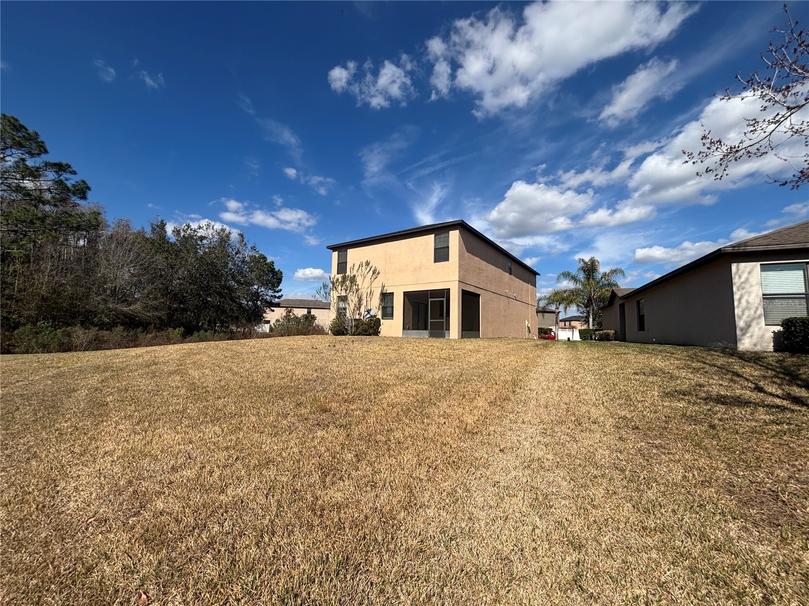 20014 Date Palm Way Tampa FL 33647 TB8488868 image4