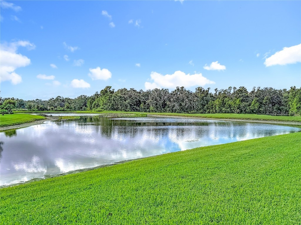 20015 Bears Track Lane Tampa FL 33647 TB8434426 image33