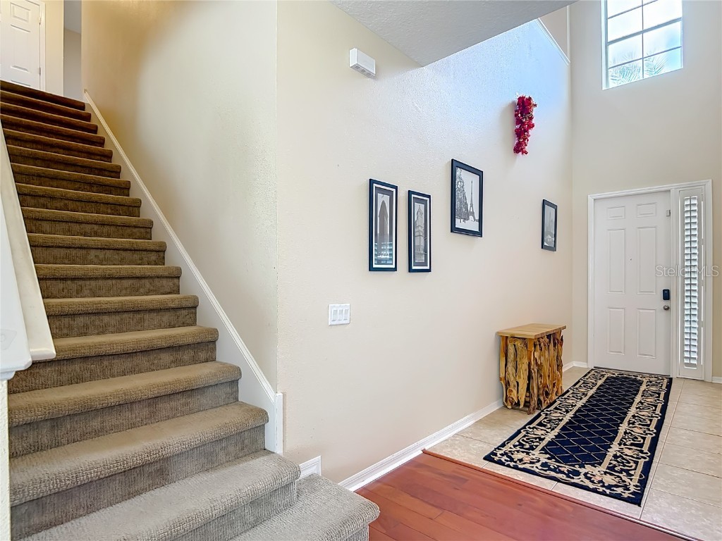 20015 Bears Track Lane Tampa FL 33647 TB8434426 image6