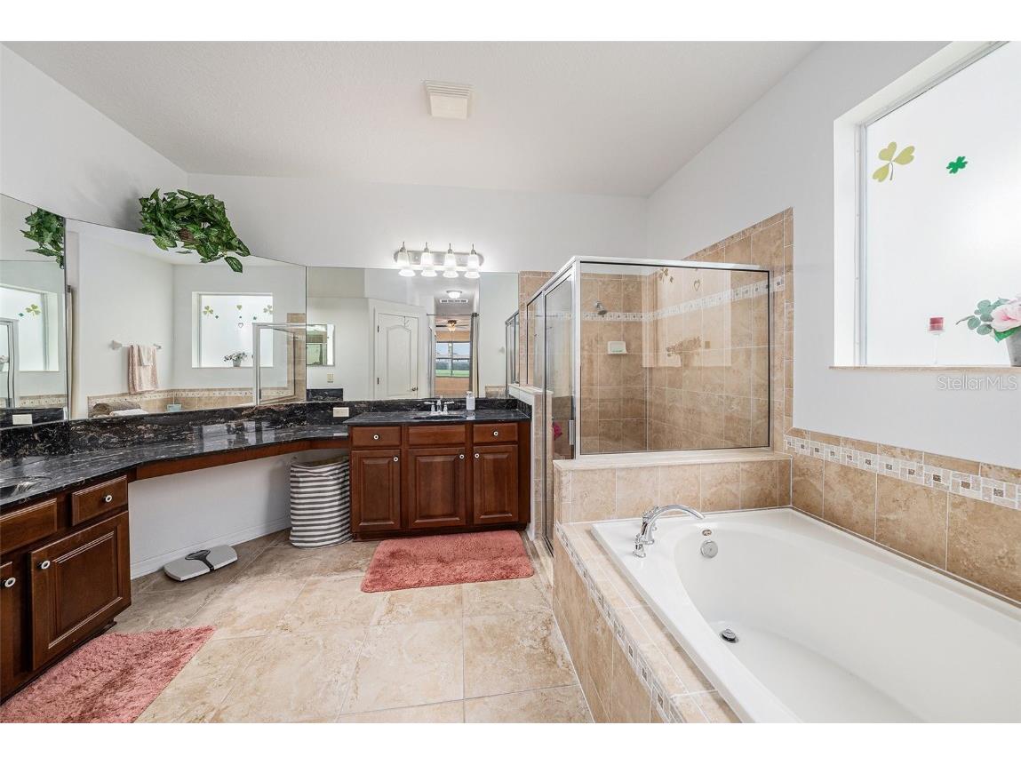 20017 Painting Nature Lane Tampa FL 33647 TB8426968 image15