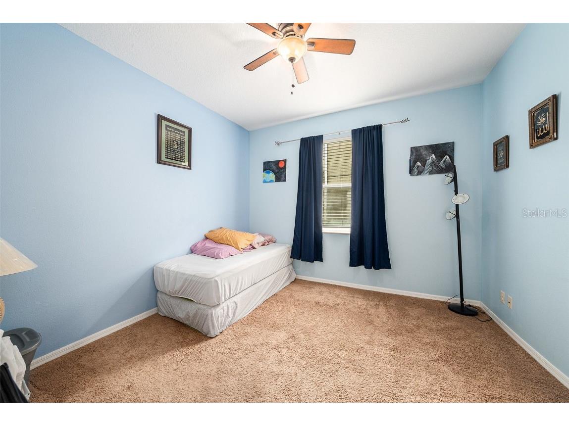 20017 Painting Nature Lane Tampa FL 33647 TB8426968 image19