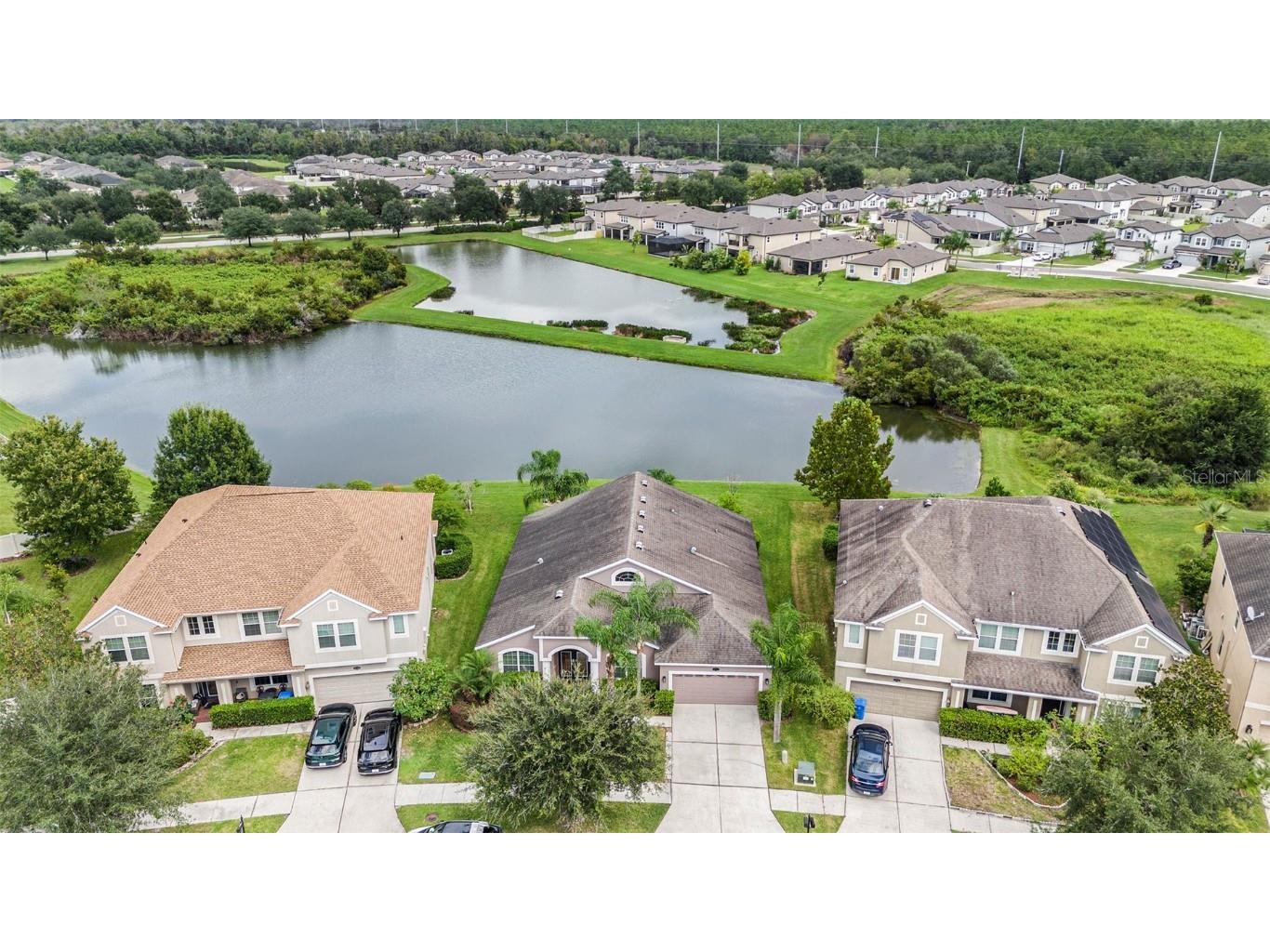 20017 Painting Nature Lane Tampa FL 33647 TB8426968 image28