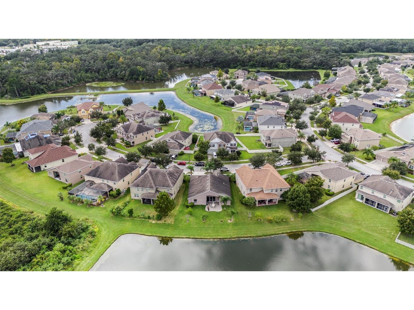 20017 Painting Nature Lane Tampa FL 33647 TB8426968 image30