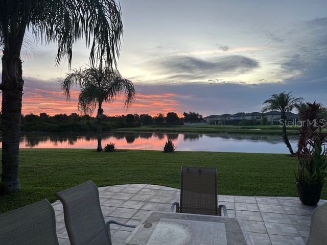 20017 Painting Nature Lane Tampa FL 33647 TB8426968 image33