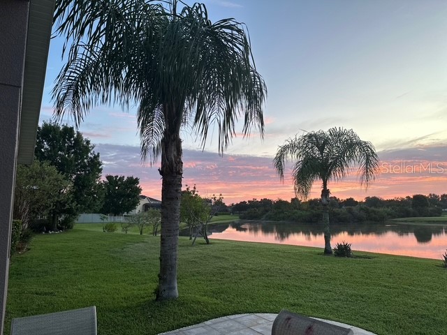 20017 Painting Nature Lane Tampa FL 33647 TB8426968 image35