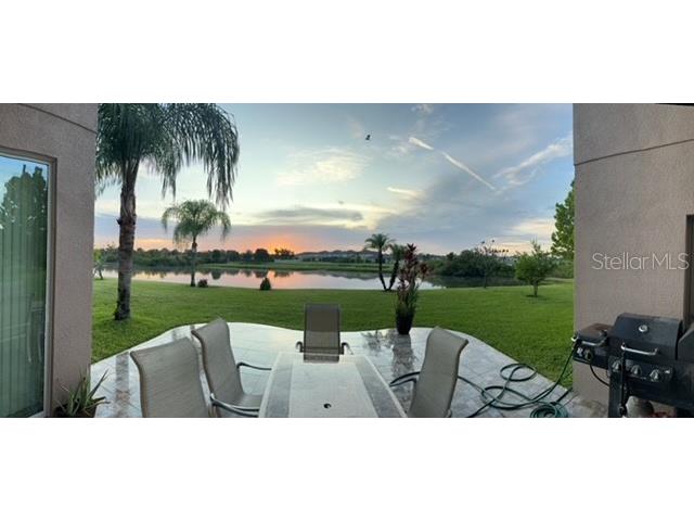 20017 Painting Nature Lane Tampa FL 33647 TB8426968 image36