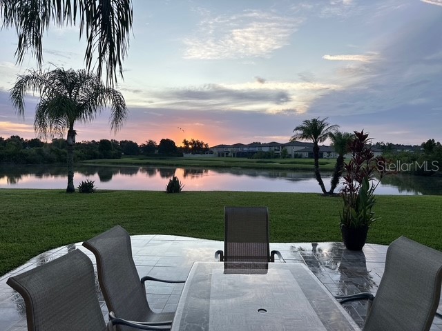 20017 Painting Nature Lane Tampa FL 33647 TB8426968 image37