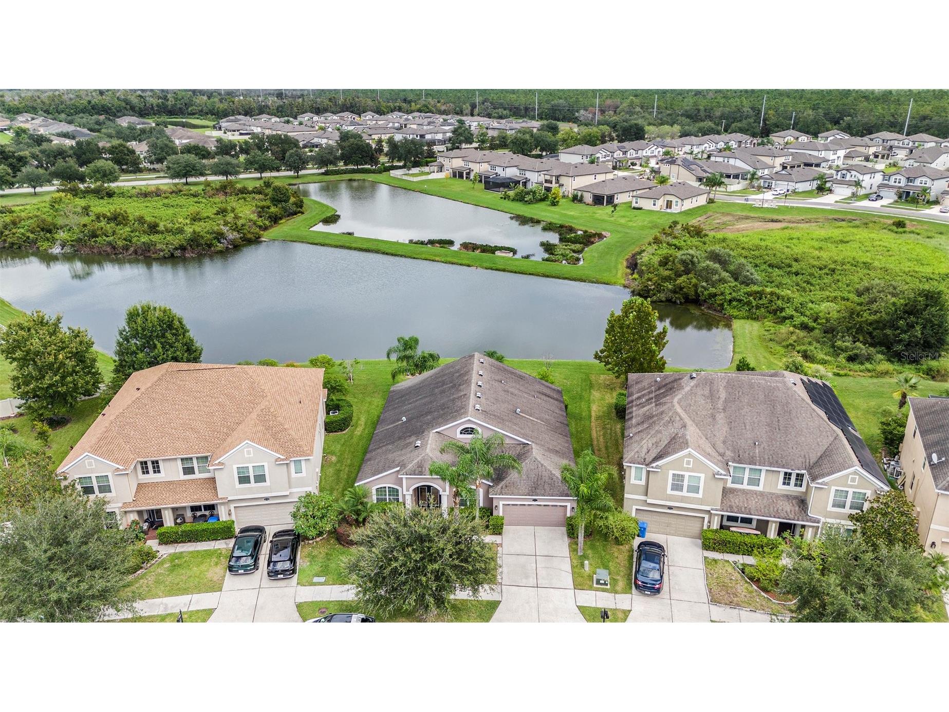 20017 Painting Nature Lane Tampa FL 33647 TB8513573 image28