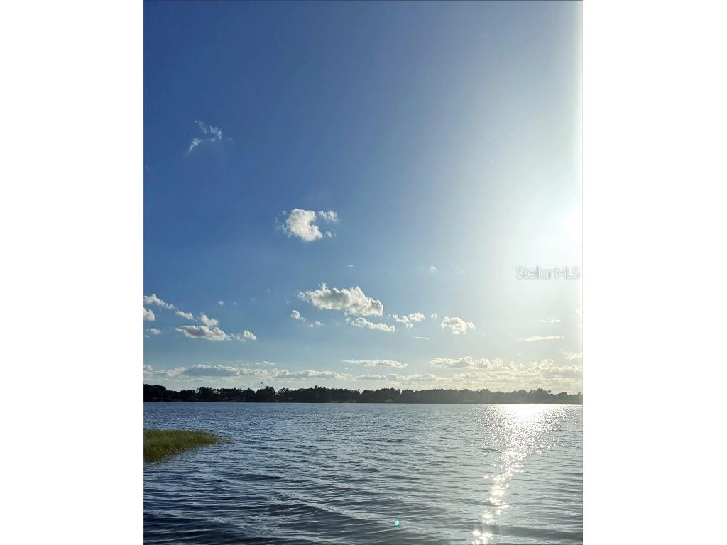 20018 Bill Collins Road Eustis FL 32736 - LAKE DALHOUSIE V4944830 image82